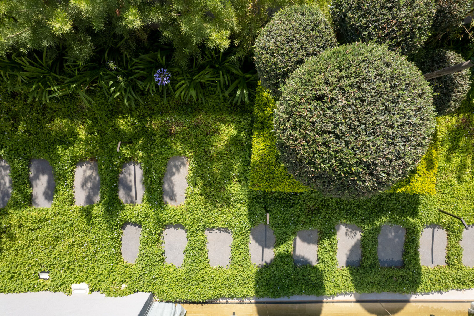 אדריכל גינות