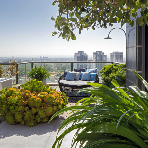 פוטנציאל בעיצוב גינה במרפסת